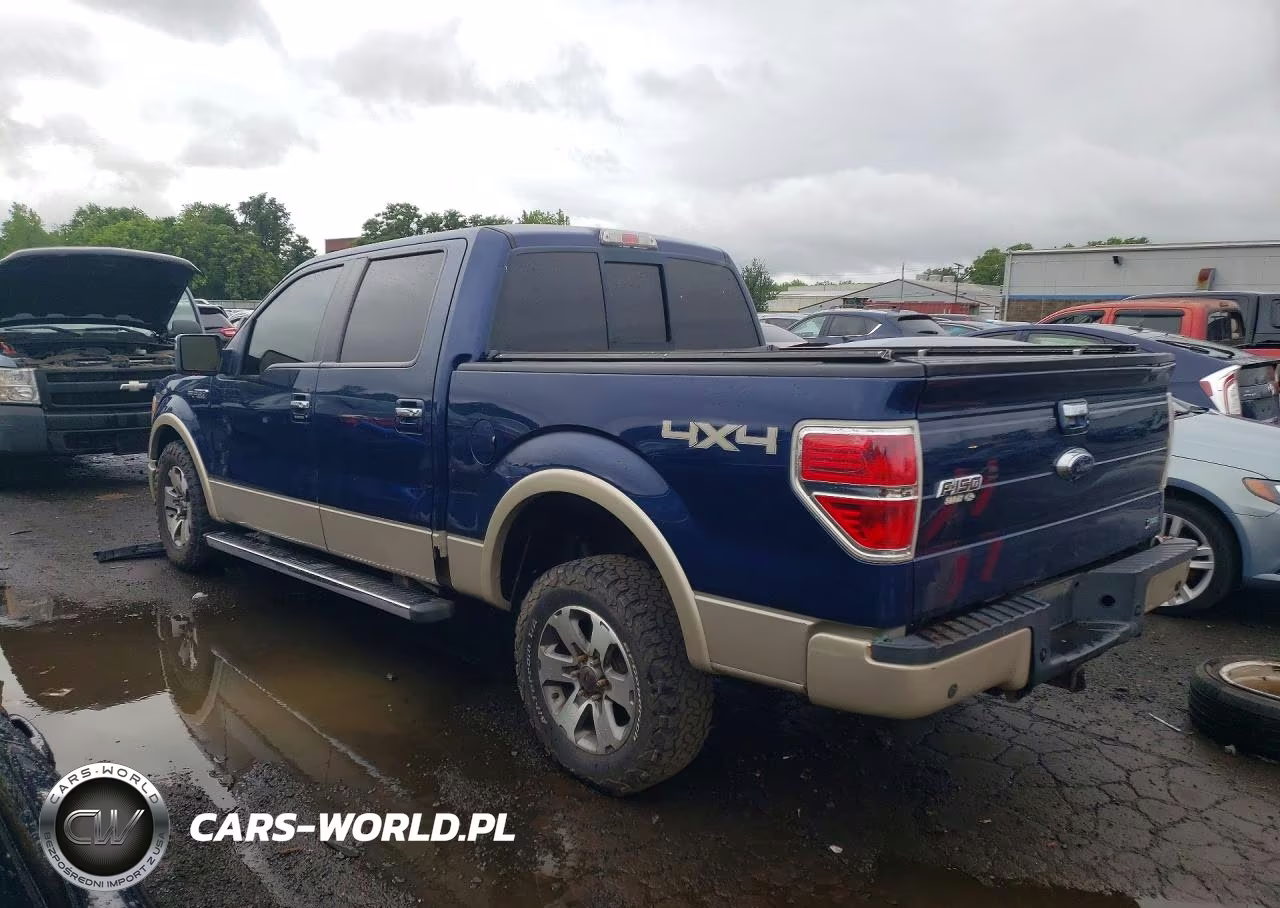 2010 Ford F150 Supercrew VIN:1FTFW1EV1AFD82685 - 2