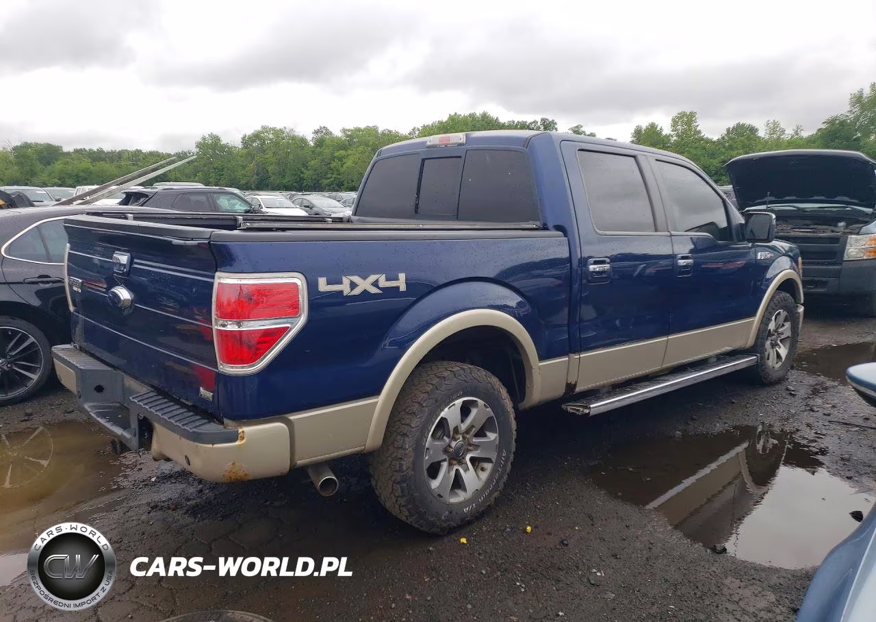 2010 Ford F150 Supercrew VIN:1FTFW1EV1AFD82685 - 3
