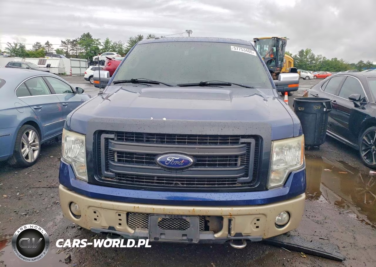 2010 Ford F150 Supercrew VIN:1FTFW1EV1AFD82685 - 5