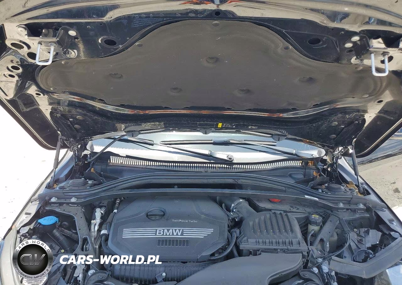 2021 BMW 228I VIN:WBA53AK04M7J57167 - 11