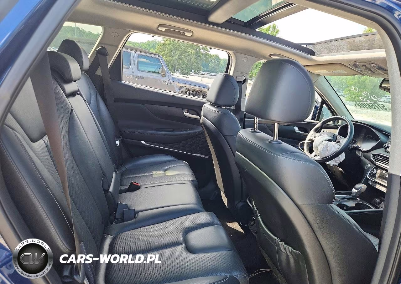 2020 Hyundai Santa Fe Limited 2.0T VIN:5NMS53AA2LH296906 - 10