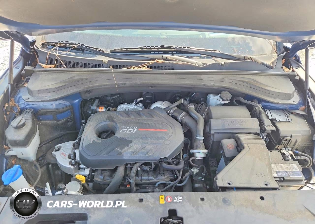 2020 Hyundai Santa Fe Limited 2.0T VIN:5NMS53AA2LH296906 - 11