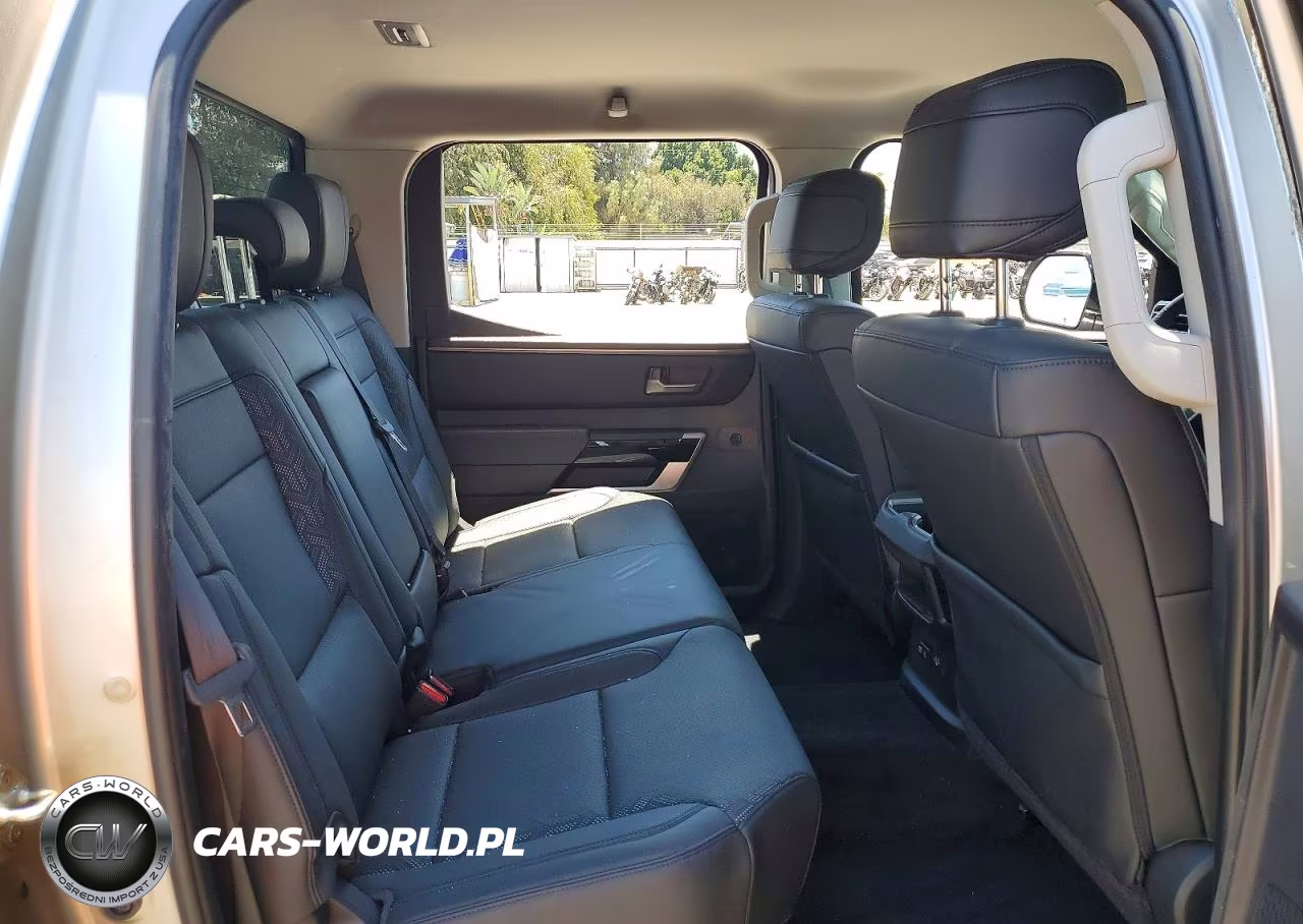 2023 Toyota Tundra Crewmax Limited VIN:5TFJA5DB0PX071727 - 10
