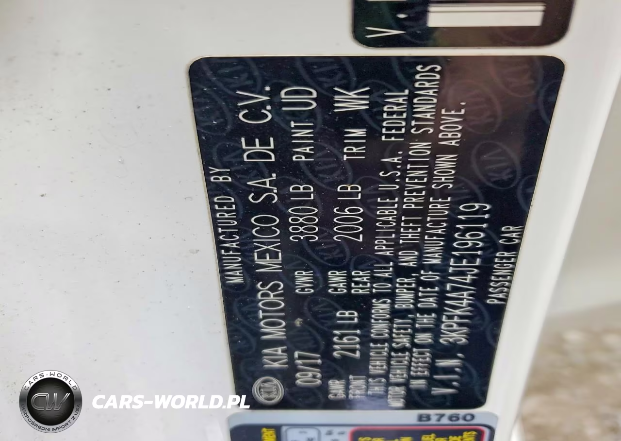 2018 Kia Forte Lx VIN:3KPFK4A74JE196119 - 13