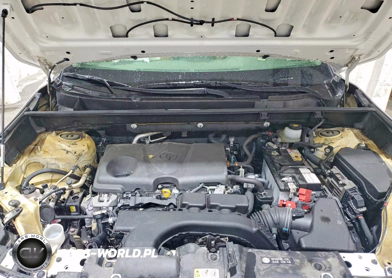 2019 Toyota Rav4 Le VIN:JTMG1RFV3KJ013552 - 12