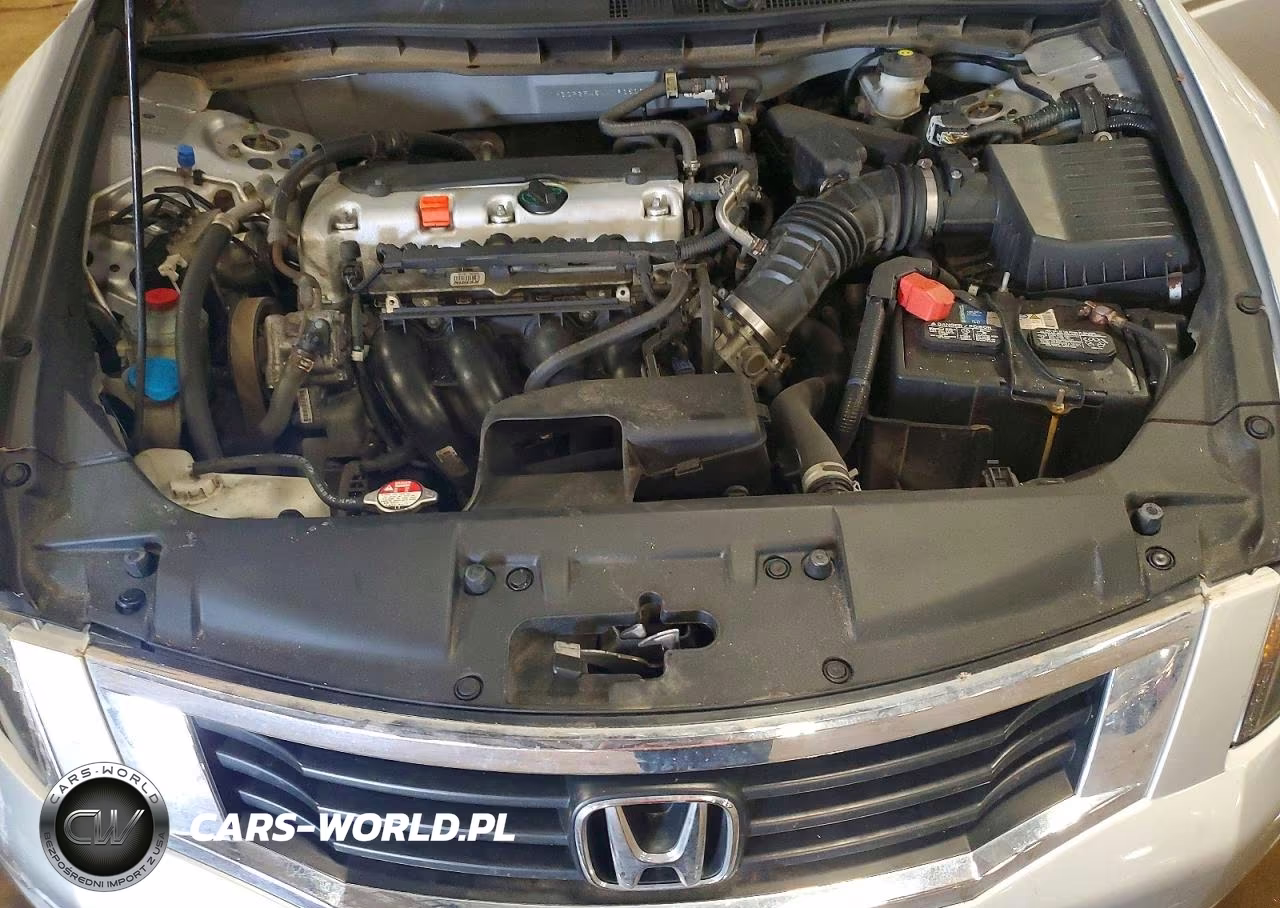 2010 Honda Accord Lxp VIN:1HGCP2F45AA193502 - 11