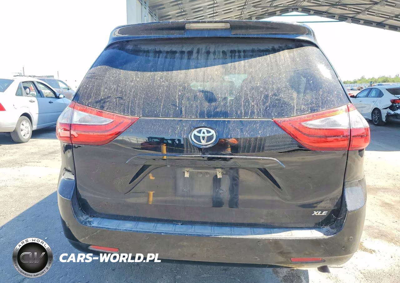 2016 Toyota Sienna Xle 8-Passenger VIN:5TDYK3DC1GS749397 - 6
