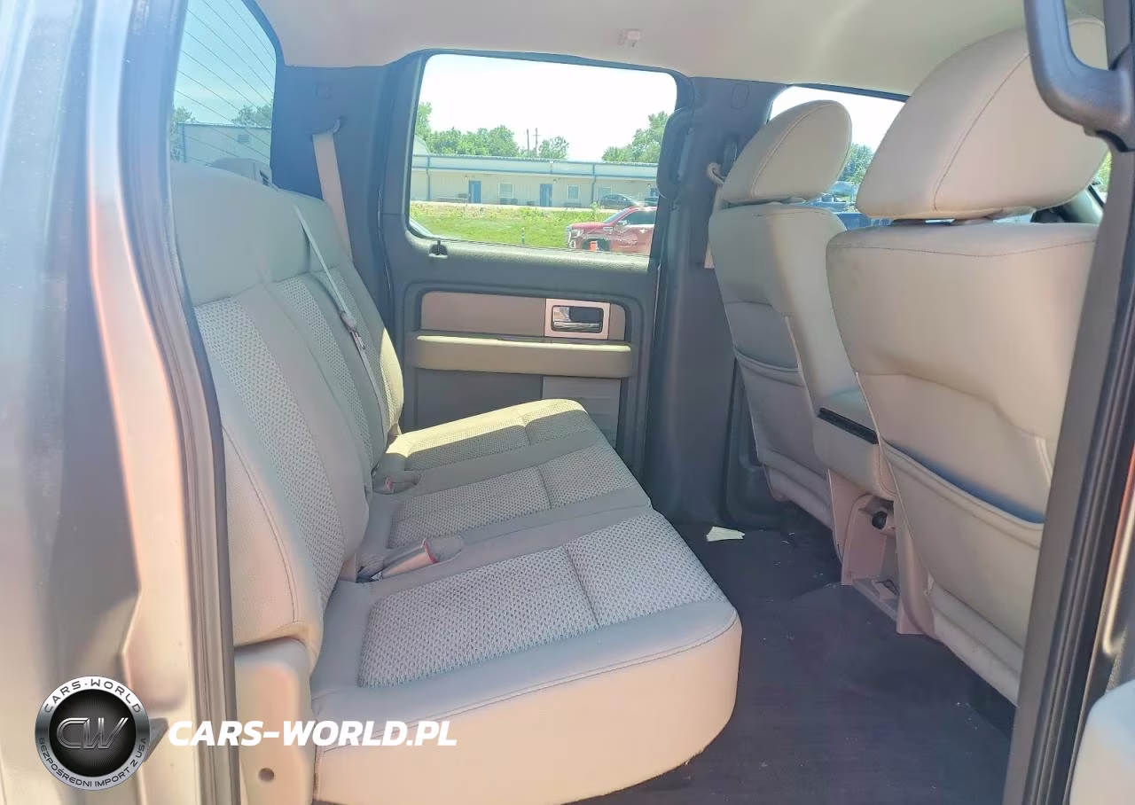 2010 Ford F150 Supercrew VIN:1FTFW1EVXAFB28389 - 10