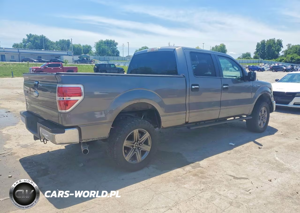 2010 Ford F150 Supercrew VIN:1FTFW1EVXAFB28389 - 3