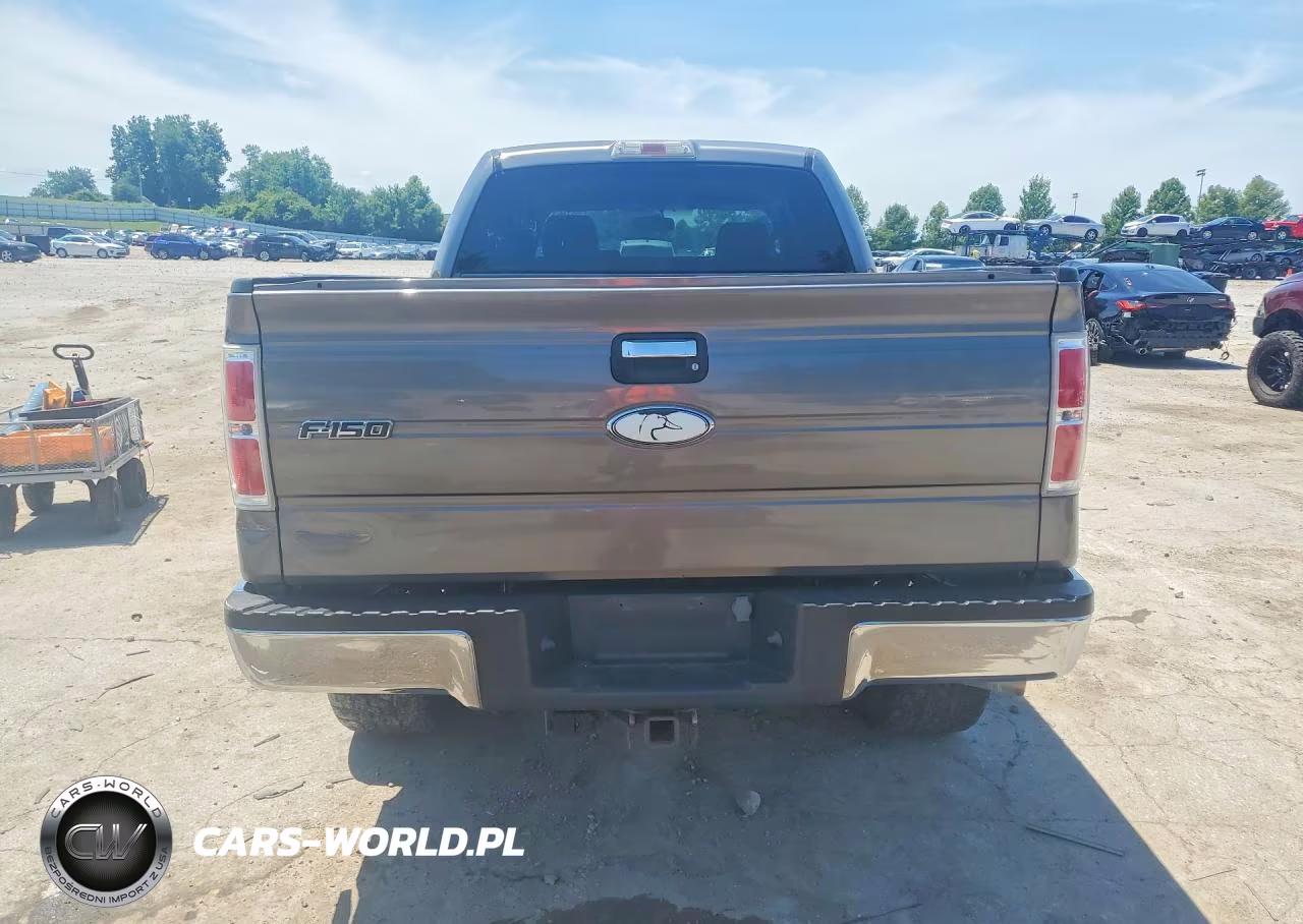 2010 Ford F150 Supercrew VIN:1FTFW1EVXAFB28389 - 6