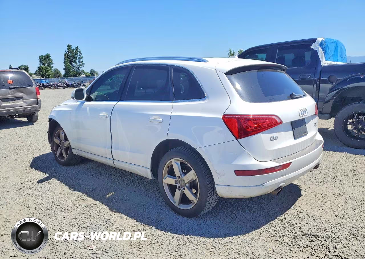 2011 Audi Q5 Premium Plus VIN:WA1LFAFP9BA064695 - 2