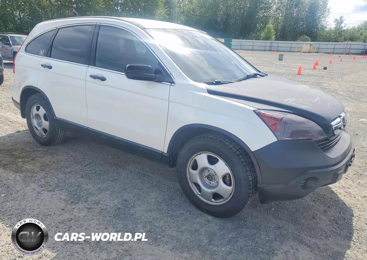 2009 Honda Cr-V Lx VIN:5J6RE38329L028185 - 4