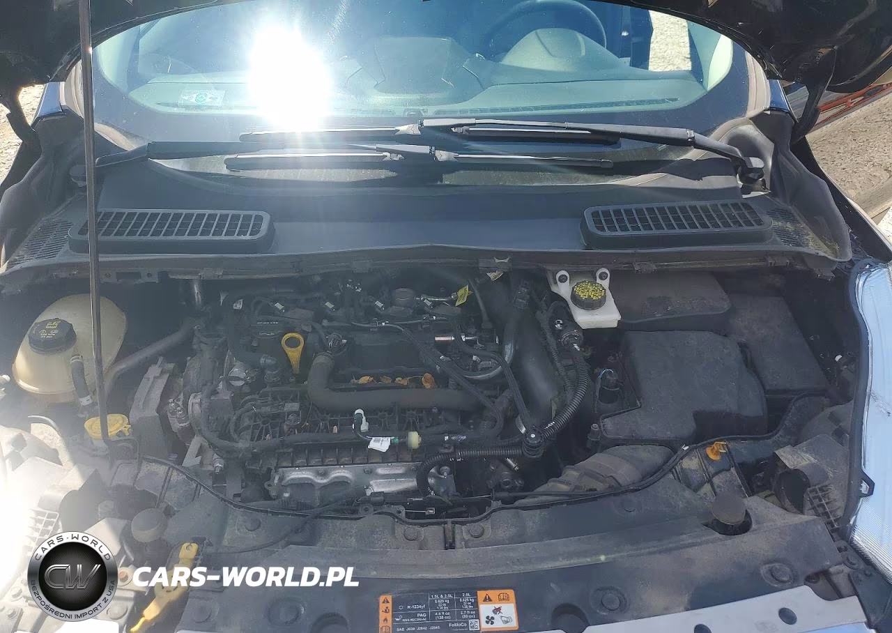 2019 Ford Escape Se VIN:1FMCU9GDXKUA72443 - 12