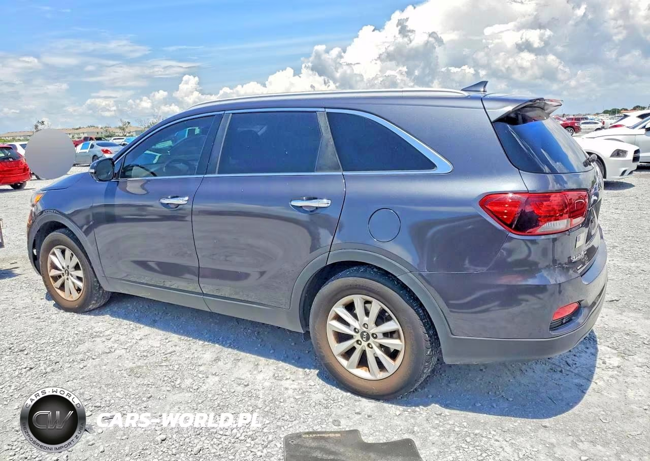 2019 Kia Sorento Lx VIN:5XYPG4A38KG529624 - 2