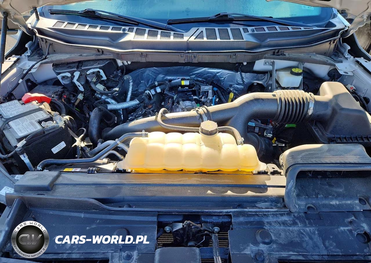 2023 Ford F150 Supercrew VIN:1FTEW1EP8PKF25600 - 11