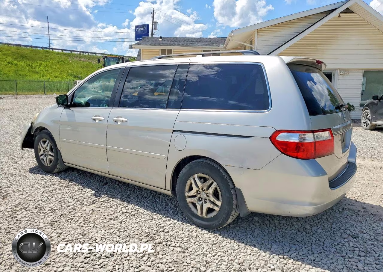 2005 Honda Odyssey Exl VIN:5FNRL38755B121262 - 2