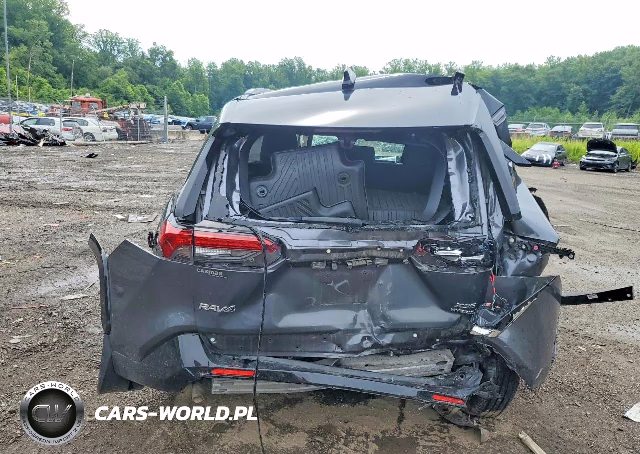 2019 Toyota Rav4 Xse VIN:JTMEWRFV2KD506596 - 6