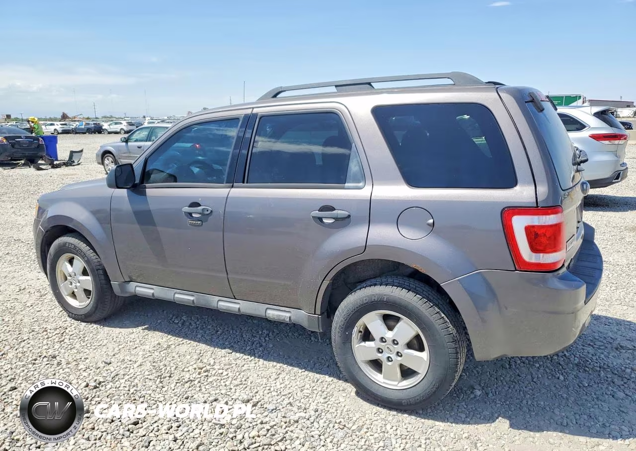 2011 Ford Escape Xlt VIN:1FMCU9DG5BKC64699 - 2