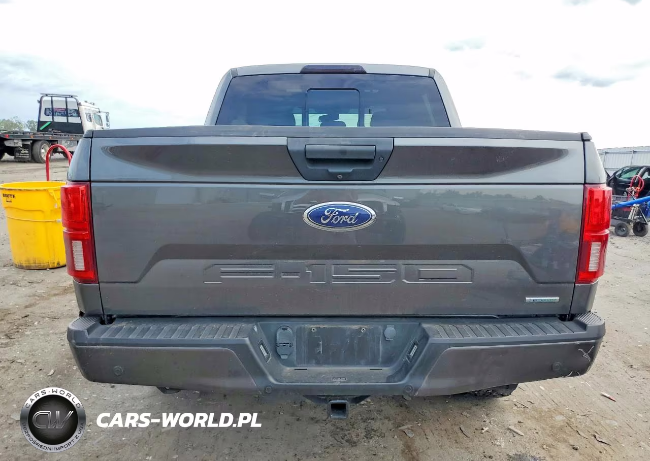 2020 Ford F150 Supercrew VIN:1FTEW1EP6LFB90954 - 6