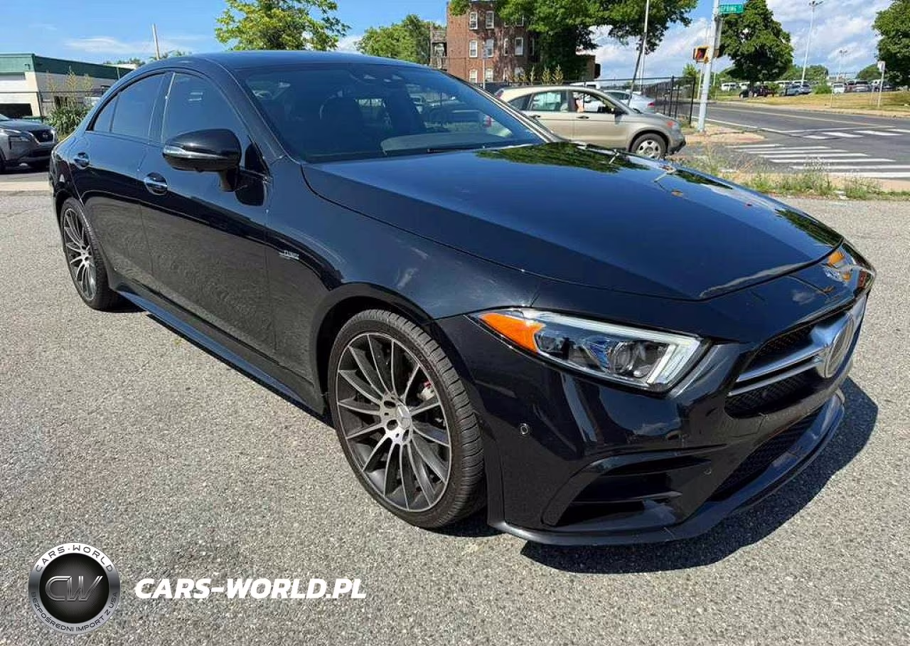 2019 Mercedes-Benz Cls Amg 53 4Matic VIN:WDD2J6BB3KA027624 - 4