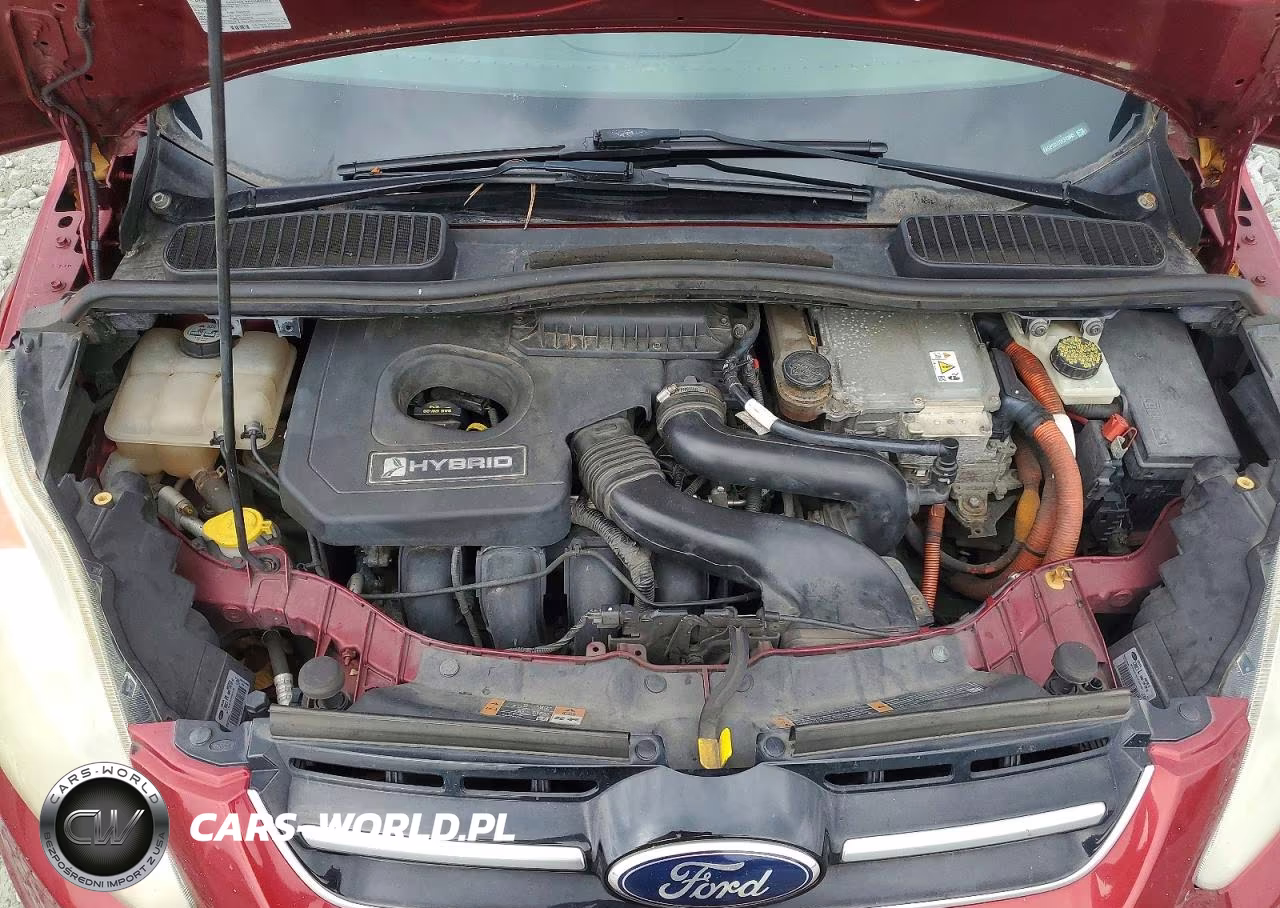 2013 Ford C-Max Sel VIN:1FADP5BU7DL513895 - 12