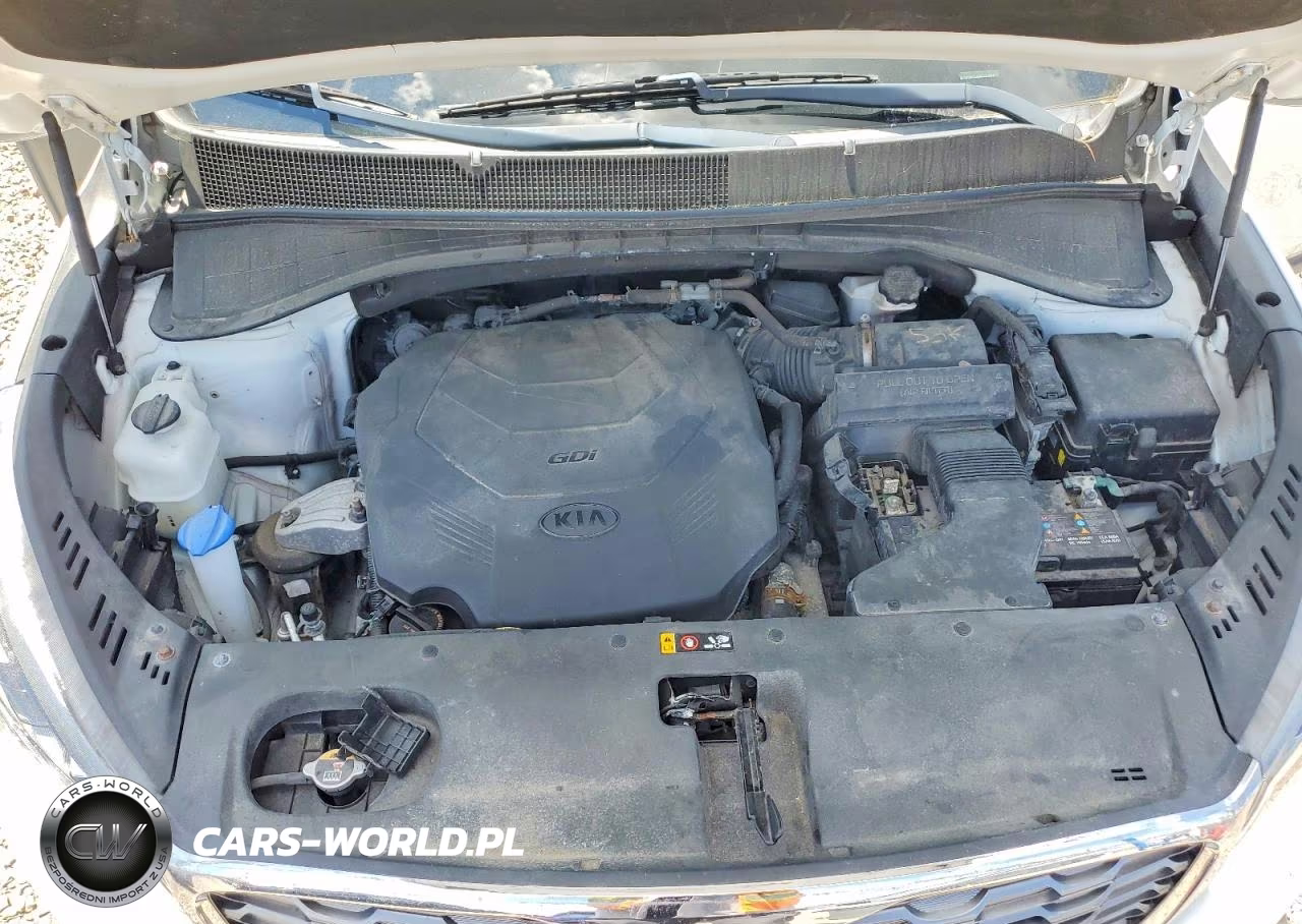 2019 Kia Sorento Ex V6 VIN:5XYPHDA52KG502787 - 12