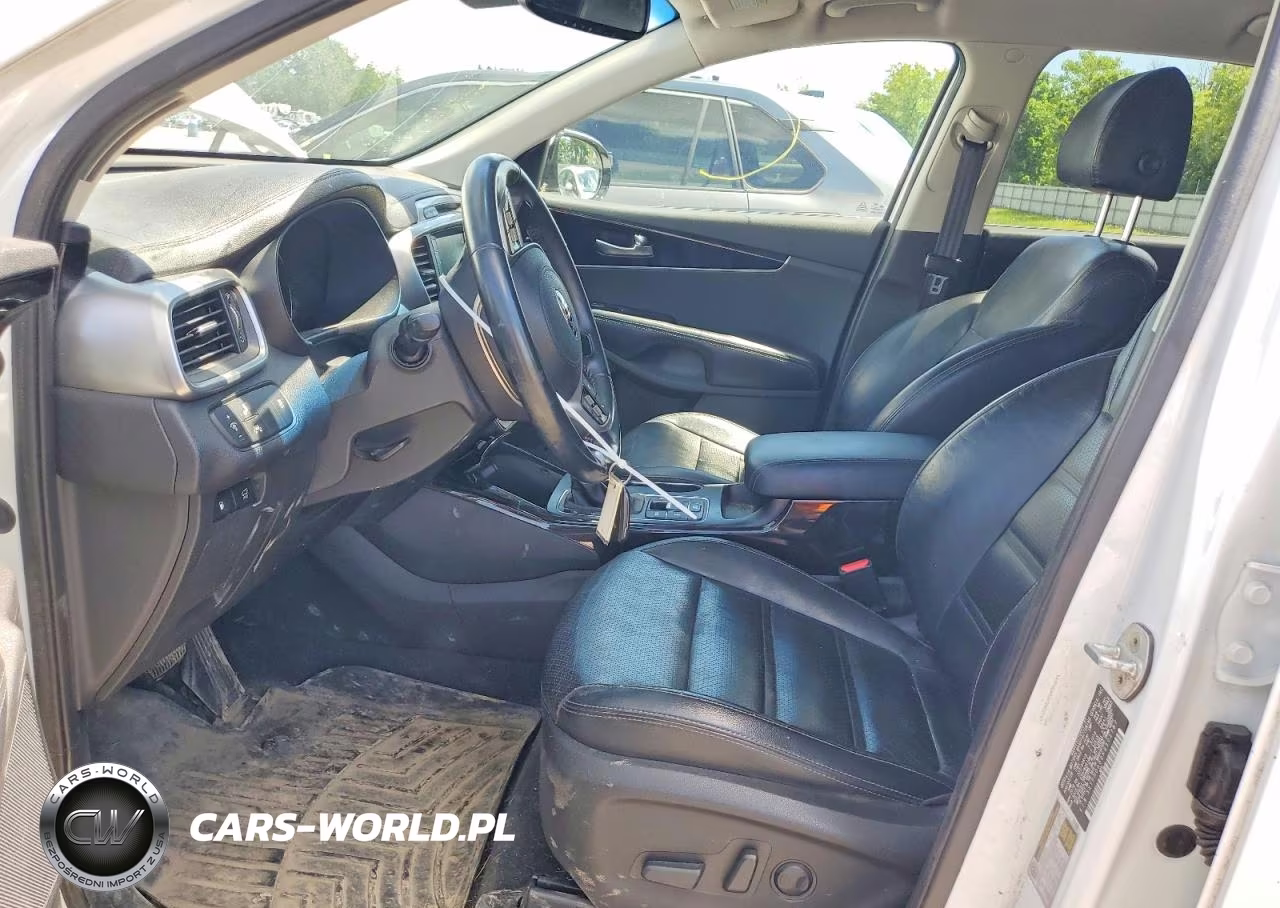 2019 Kia Sorento Ex V6 VIN:5XYPHDA52KG502787 - 7