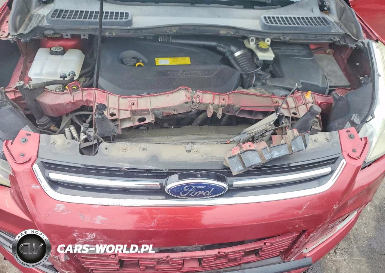 2013 Ford Escape Sel VIN:1FMCU0HX1DUA74993 - 11