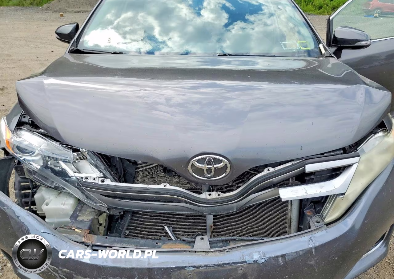 2014 Toyota Venza Xle VIN:4T3BA3BB8EU061167 - 12