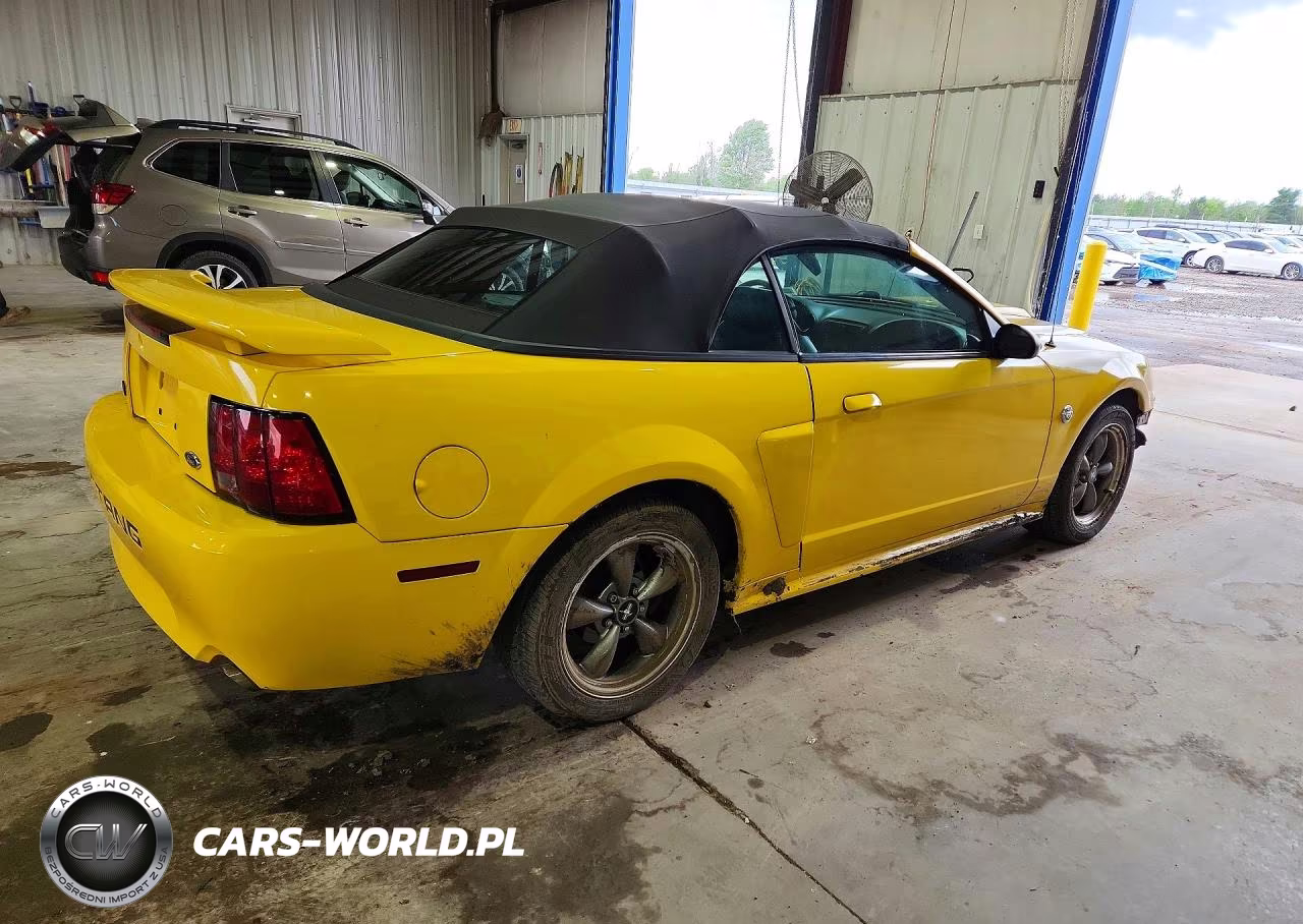 2004 Ford Mustang Gt VIN:1FAFP45X34F100430 - 3