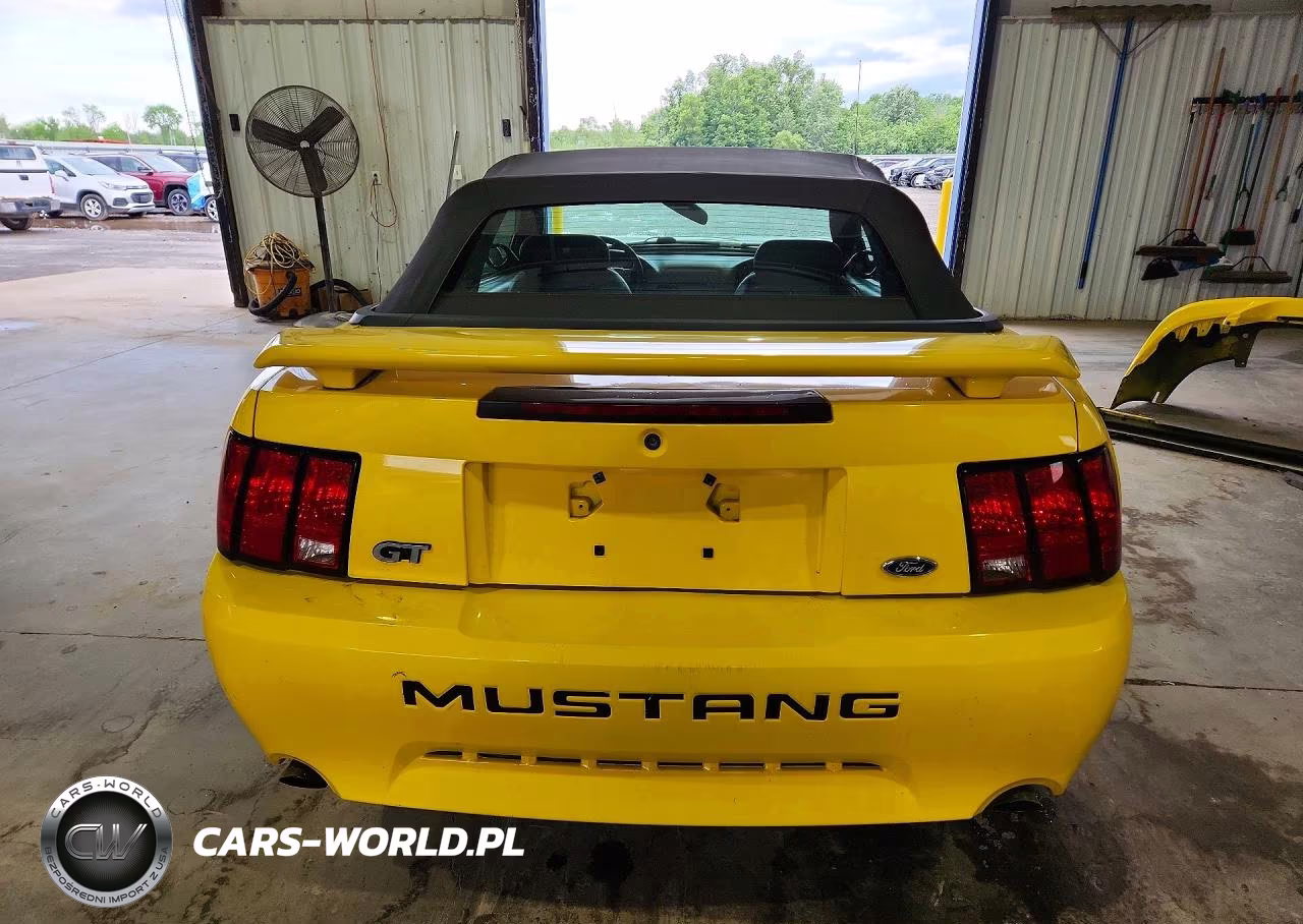 2004 Ford Mustang Gt VIN:1FAFP45X34F100430 - 6