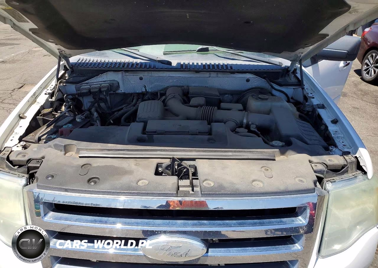 2009 Ford Expedition Xlt VIN:1FMFU16529LA11144 - 11