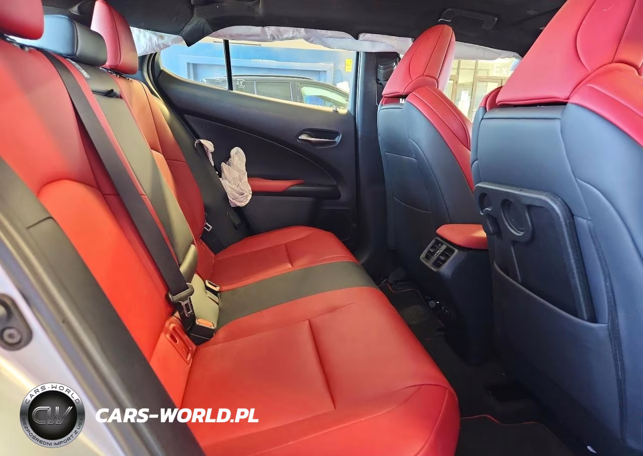 2020 Lexus Ux 250H VIN:JTHR9JBH1L2025325 - 10