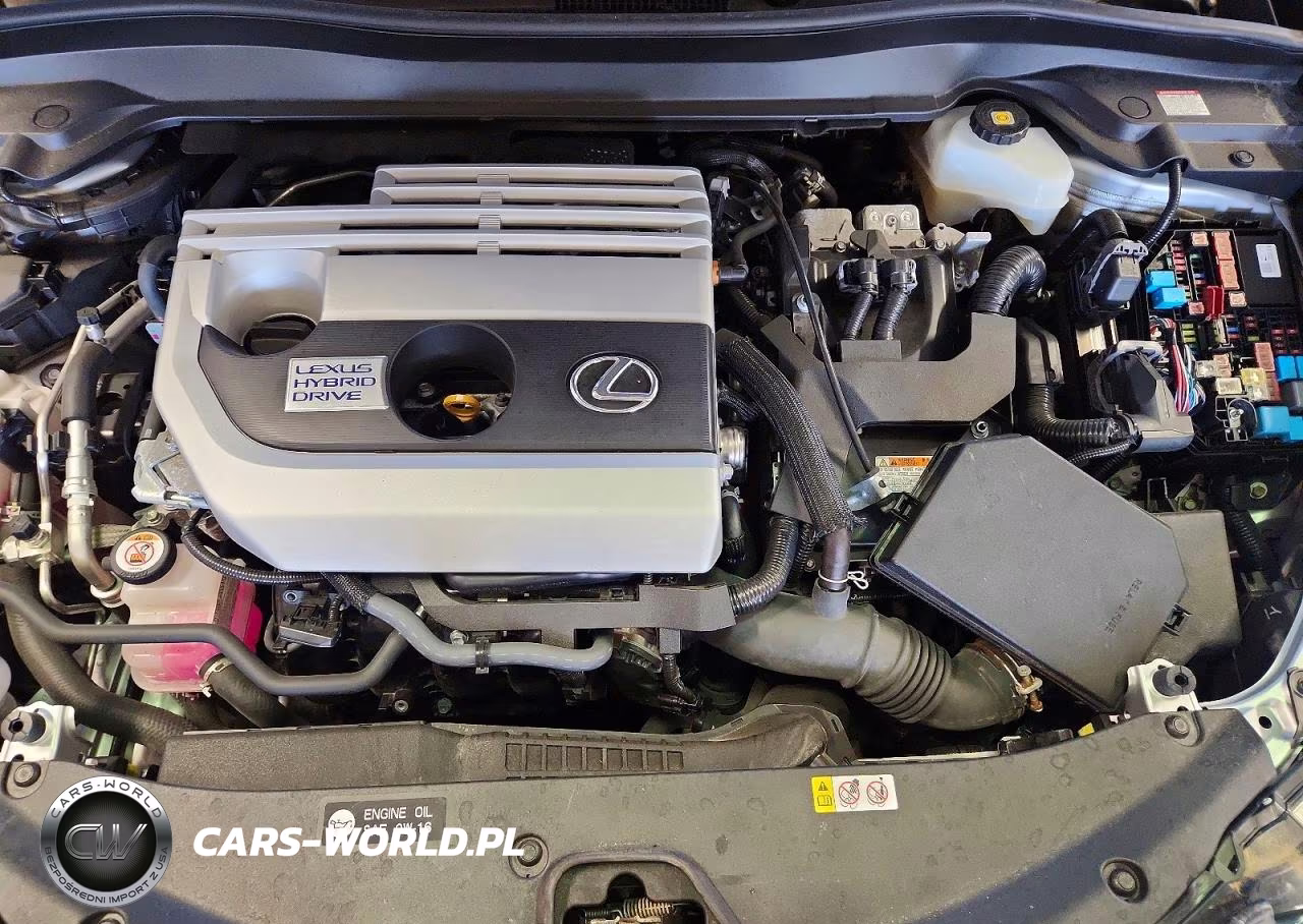 2020 Lexus Ux 250H VIN:JTHR9JBH1L2025325 - 11