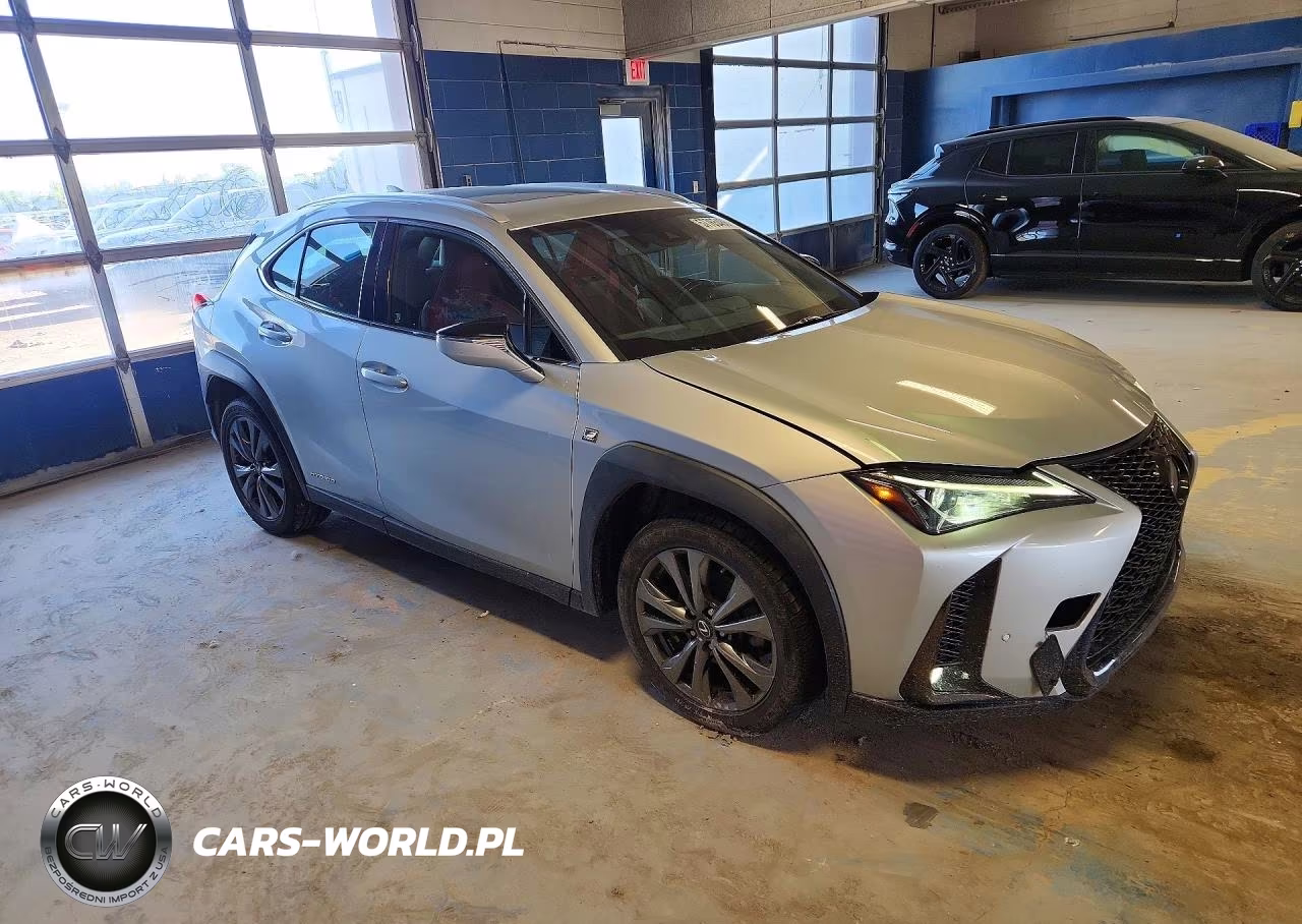 2020 Lexus Ux 250H VIN:JTHR9JBH1L2025325 - 4