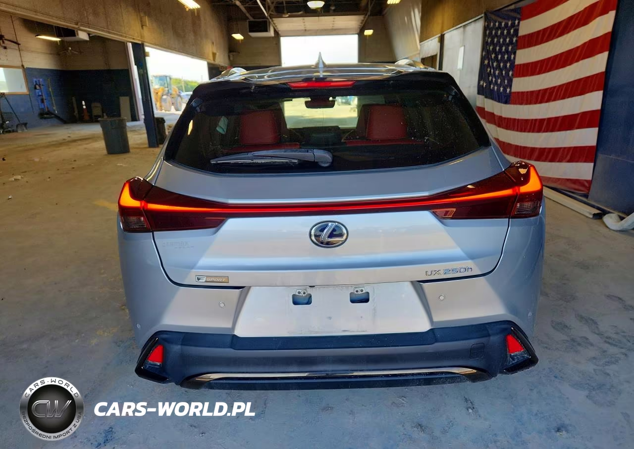 2020 Lexus Ux 250H VIN:JTHR9JBH1L2025325 - 6