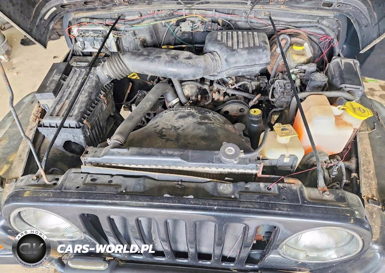 1999 Jeep Wrangler - Tj Se VIN:1J4FY29P3XP466242 - 12