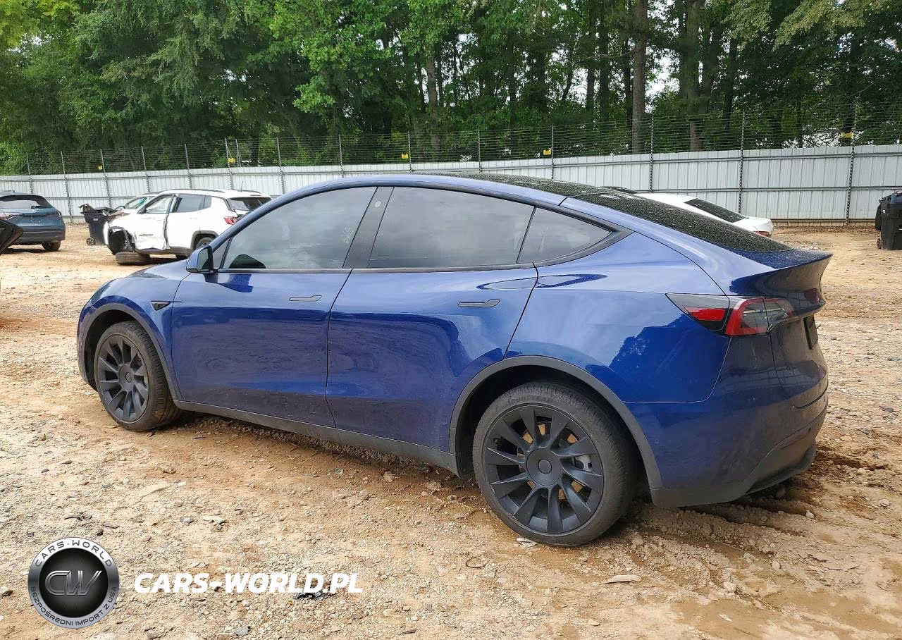 2022 Tesla Model Y VIN:7SAYGDEE2NF423801 - 2