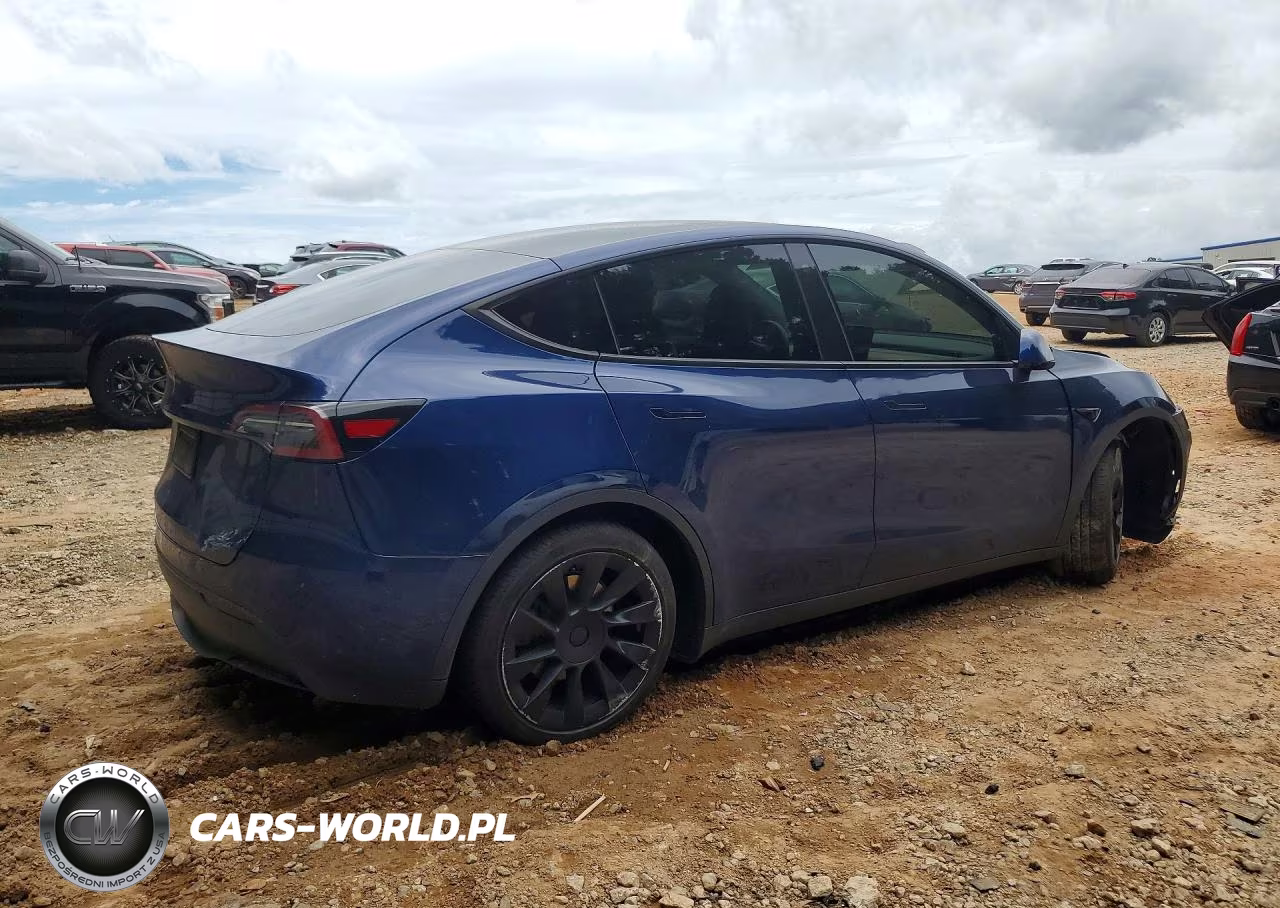 2022 Tesla Model Y VIN:7SAYGDEE2NF423801 - 3