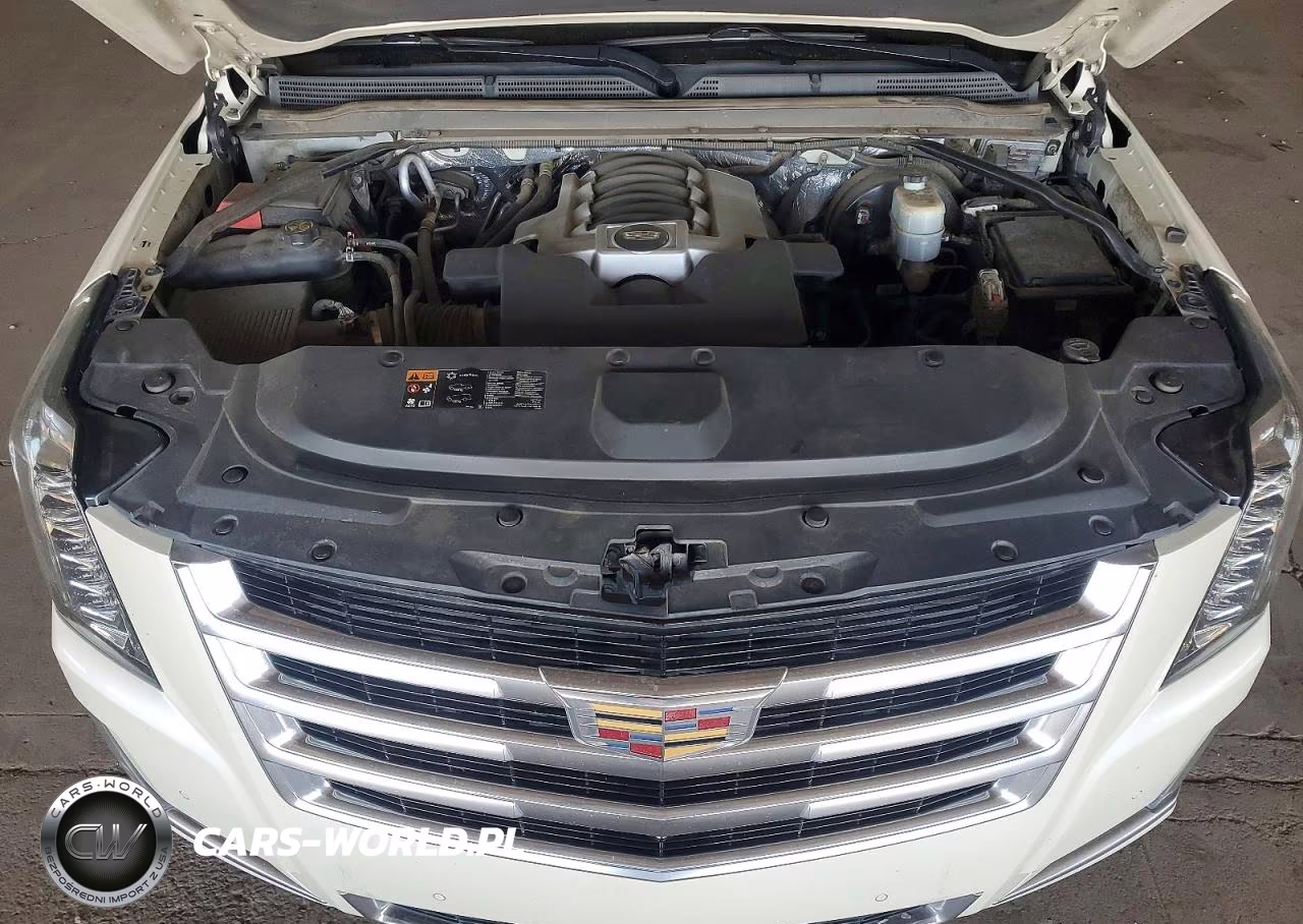 2015 Cadillac Escalade Premium VIN:1GYS4NKJ8FR733217 - 12