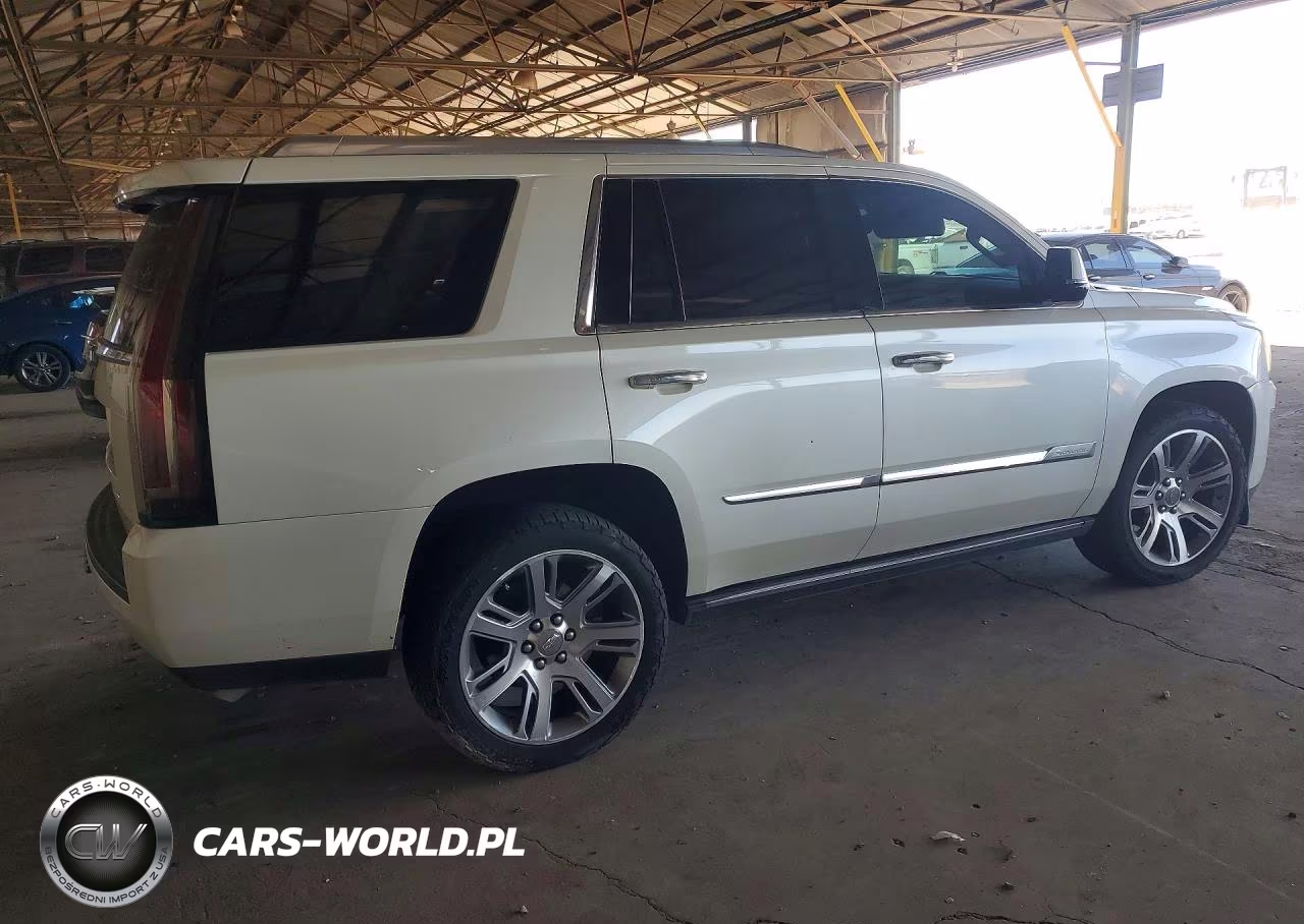 2015 Cadillac Escalade Premium VIN:1GYS4NKJ8FR733217 - 3