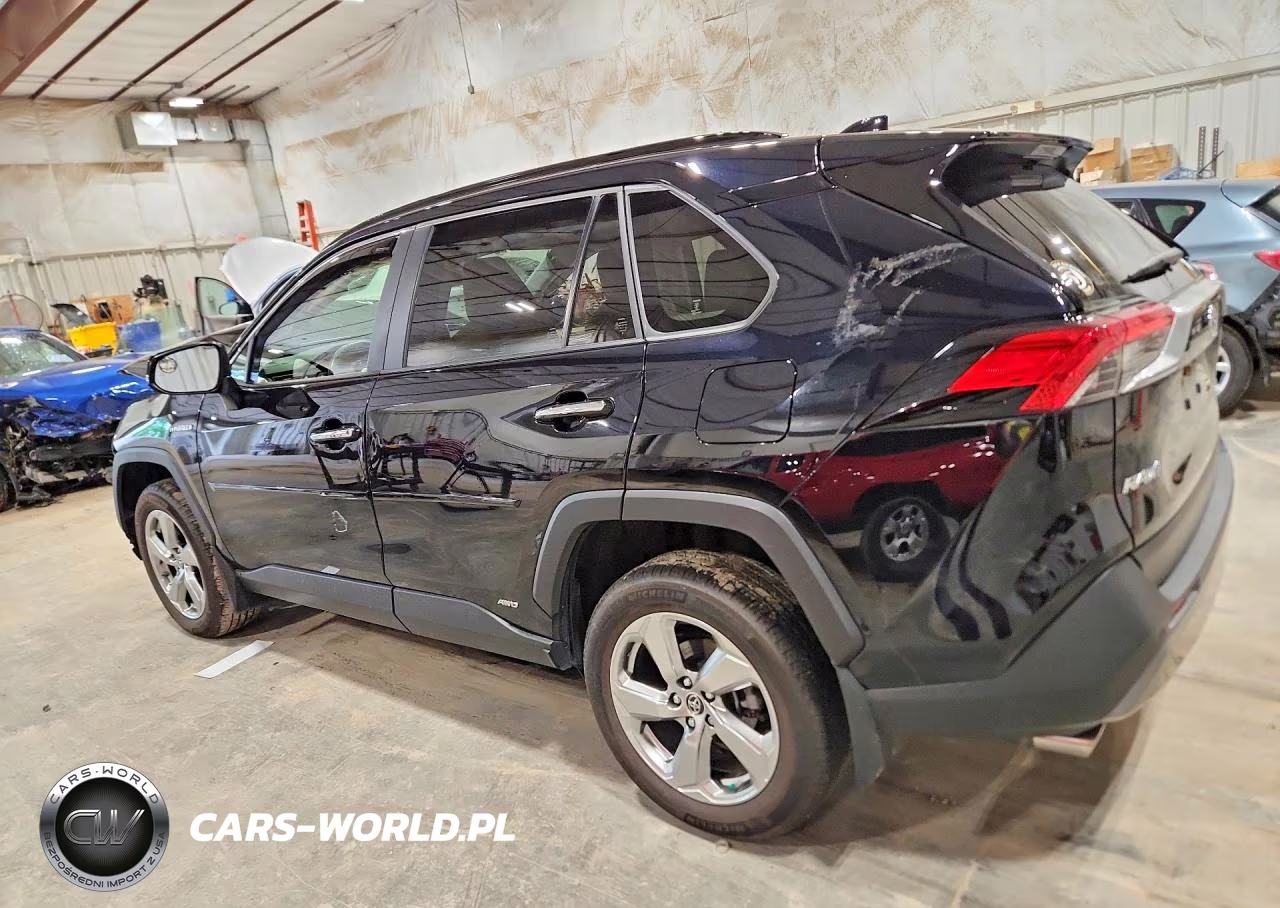 2019 Toyota Rav4 Limited VIN:JTMDWRFV0KJ010368 - 2