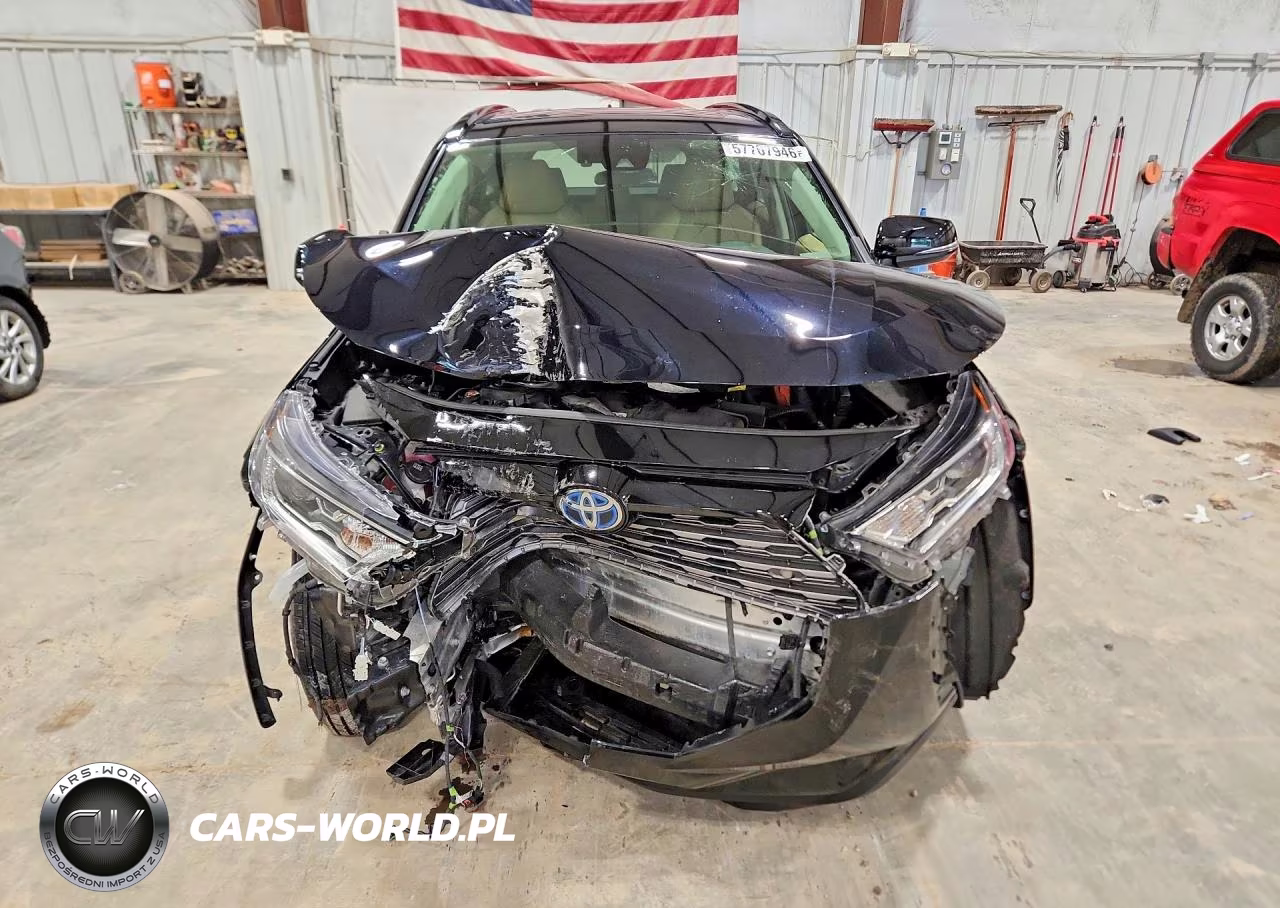 2019 Toyota Rav4 Limited VIN:JTMDWRFV0KJ010368 - 5