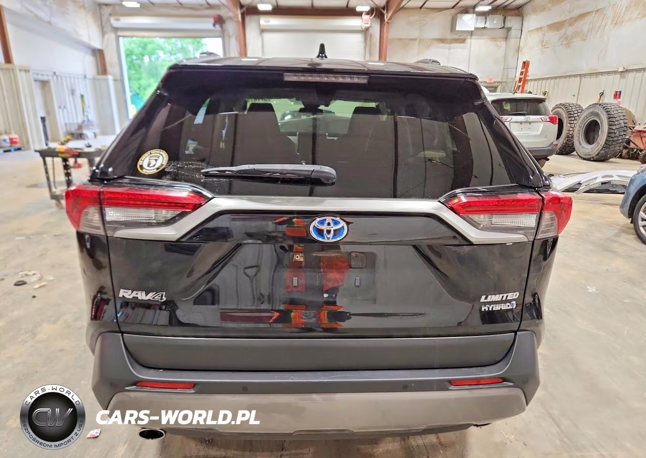 2019 Toyota Rav4 Limited VIN:JTMDWRFV0KJ010368 - 6