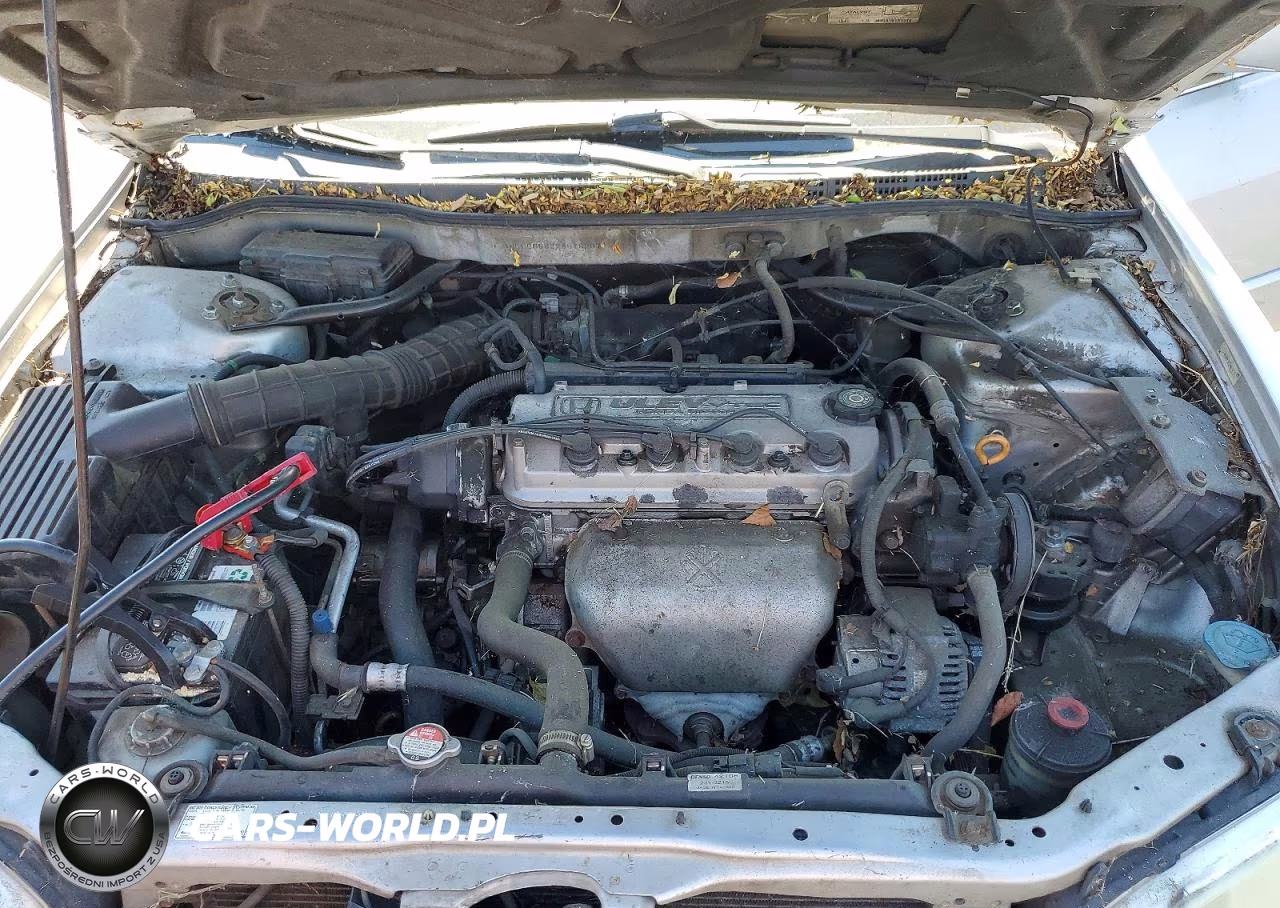 2002 Honda Accord VIN:1HGCG66822A016207 - 11