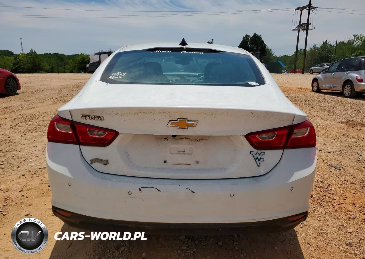 2020 Chevrolet Malibu Ls VIN:1G1ZC5ST8LF158194 - 6