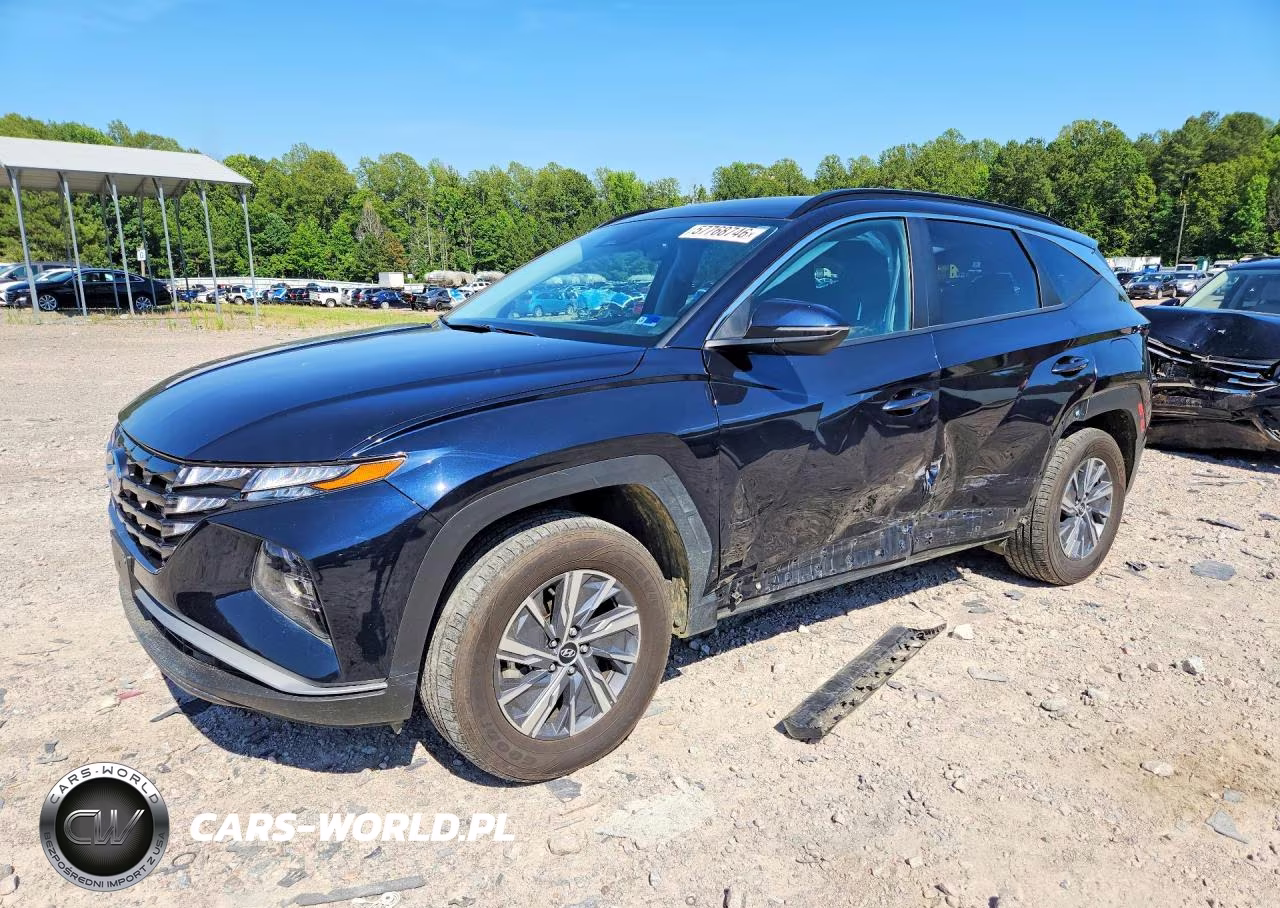 2023 Hyundai Tucson Blue VIN:KM8JBCA14PU110605 - 1
