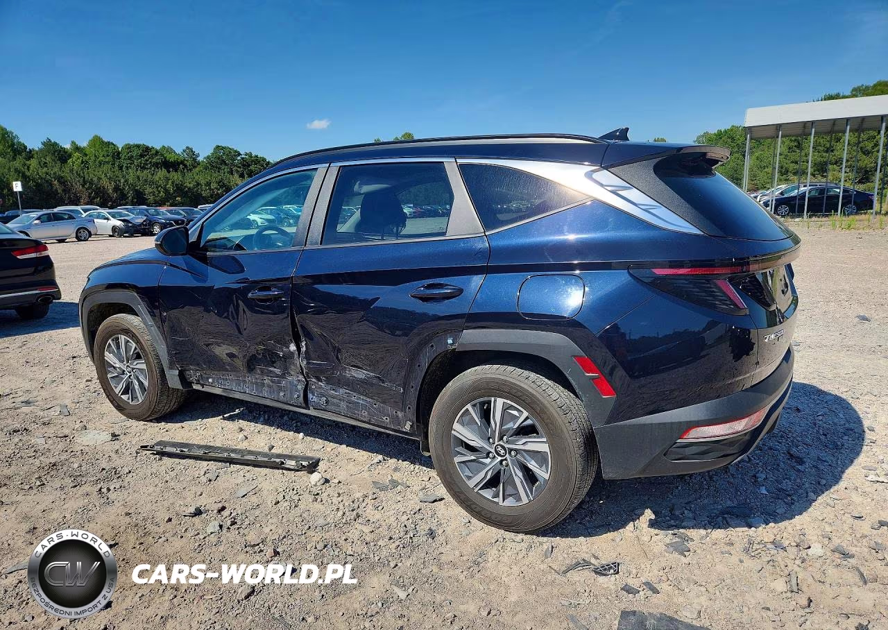 2023 Hyundai Tucson Blue VIN:KM8JBCA14PU110605 - 2