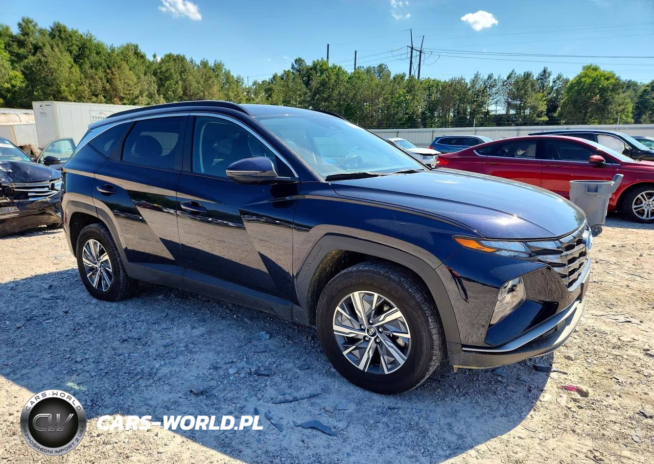 2023 Hyundai Tucson Blue VIN:KM8JBCA14PU110605 - 4