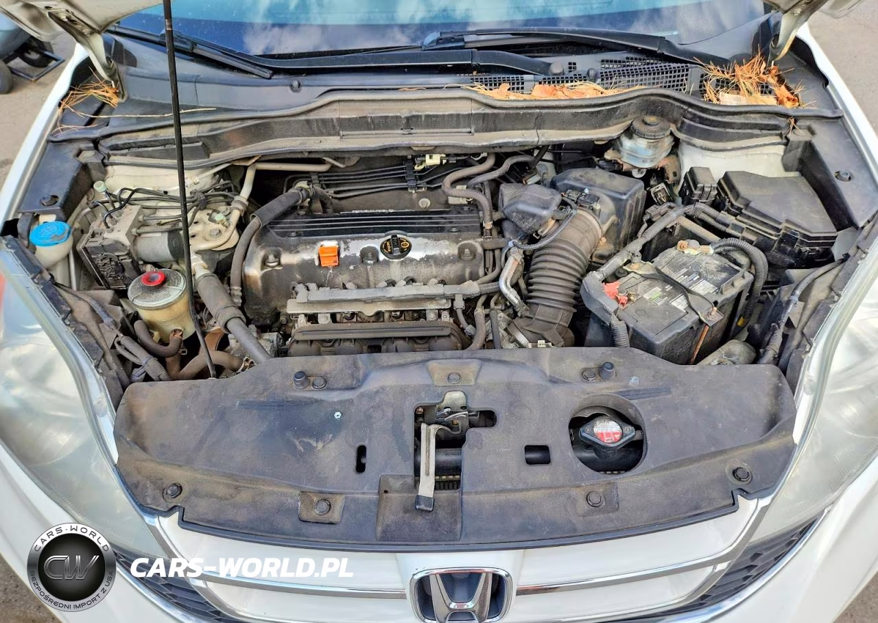 2010 Honda Cr-V Exl VIN:5J6RE4H79AL025166 - 12
